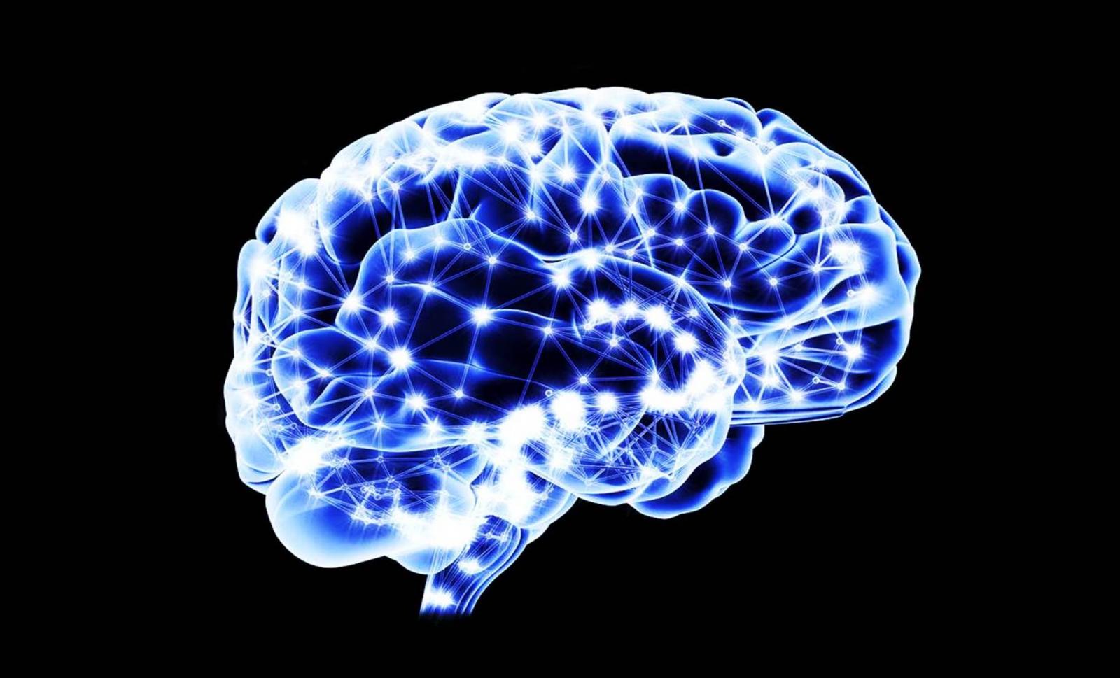 Mapeamento Cerebral INEP Mapeamento Cerebral INEP